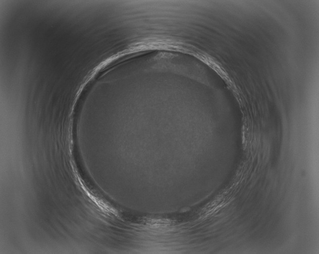 X0000084570438200702231303
