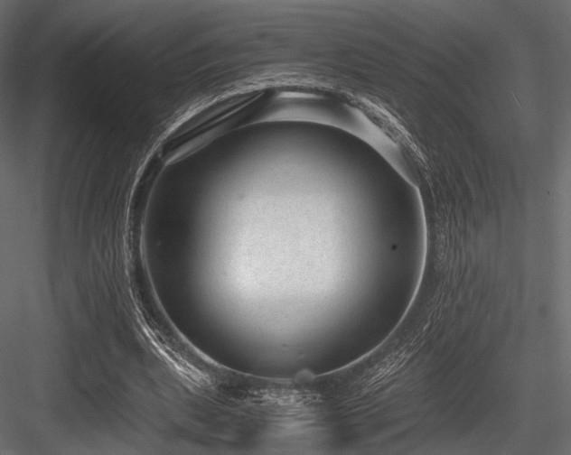 X0000084570439200702231303