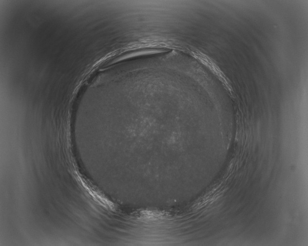 X0000084570442200702231303
