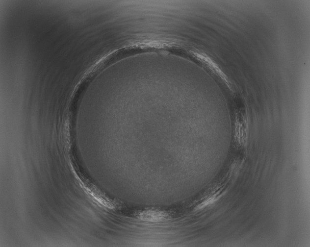 X0000084570444200702231303