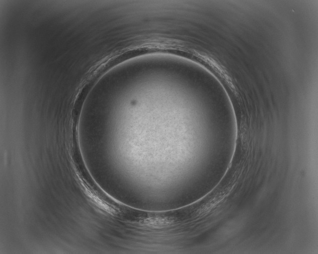X0000084570445200702231303
