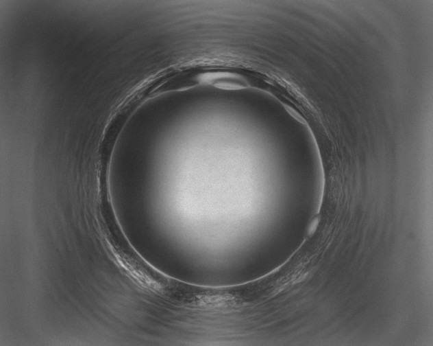 X0000084570446200702231303