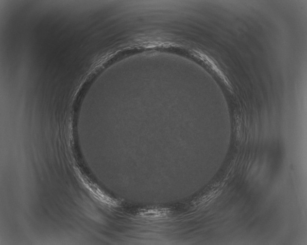 X0000084570447200702231303