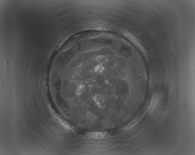 X0000084570449200702231303