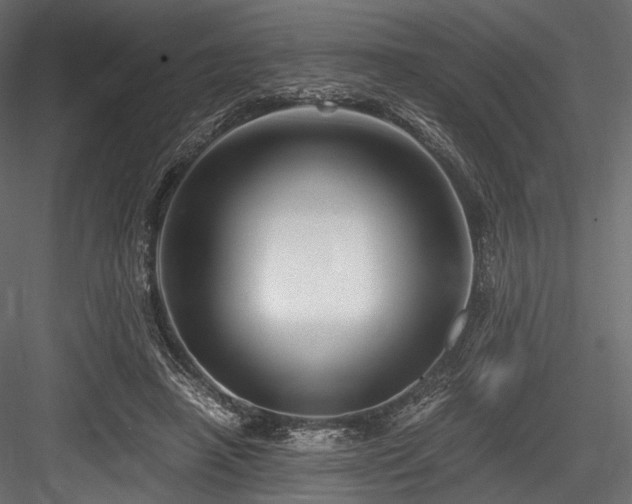 X0000084570450200702231303