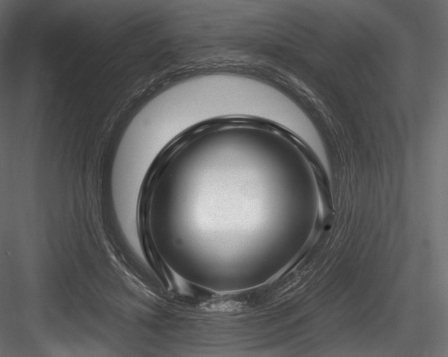 X0000084570452200702231304
