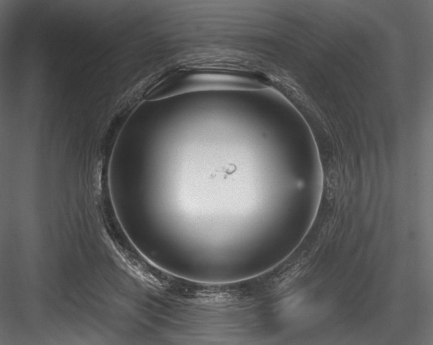 X0000084570454200702231304