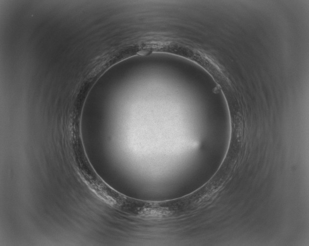 X0000084570455200702231304