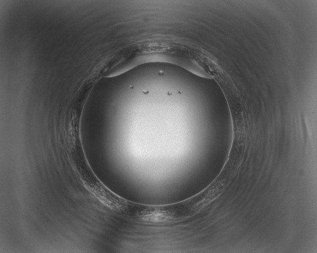 X0000084570460200702231304