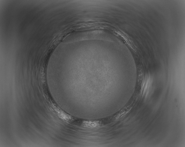 X0000084570469200702231304