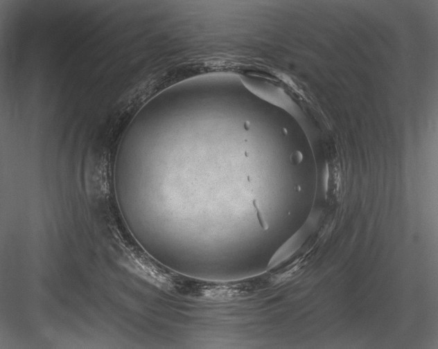 X0000084570470200702231304