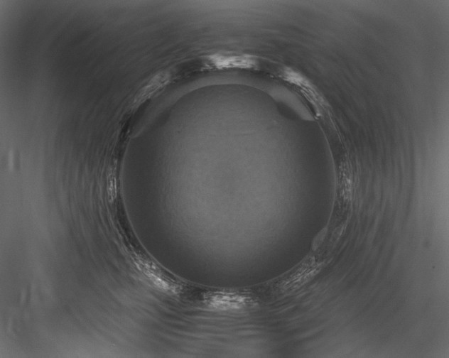X0000084570471200702231304