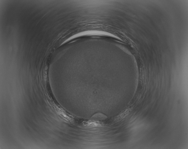 X0000084570475200702231304