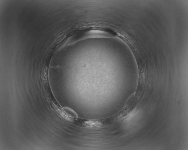 X0000084570477200702231304