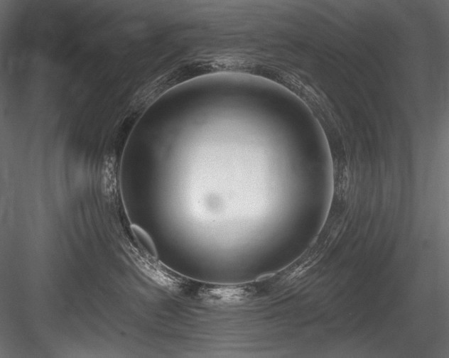 X0000084570478200702231304