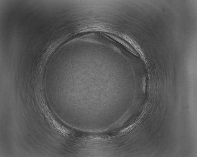 X0000084570481200702231303