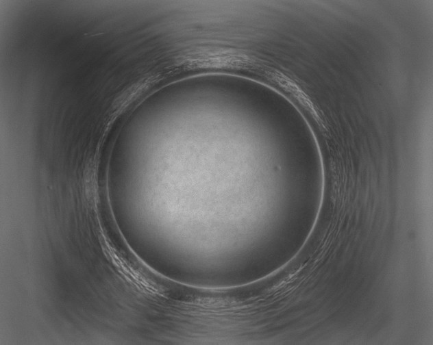 X0000084570482200702231303