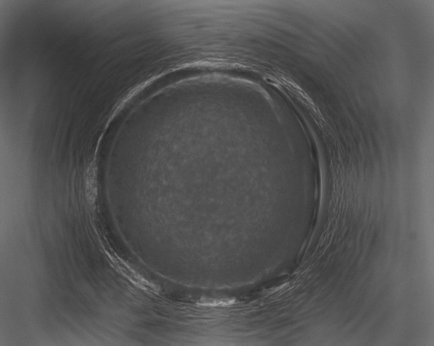 X0000084570484200702231303