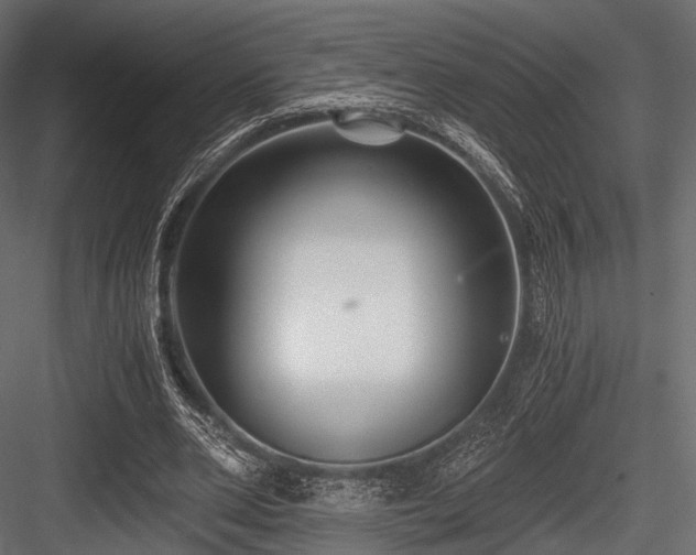 X0000084570486200702231303