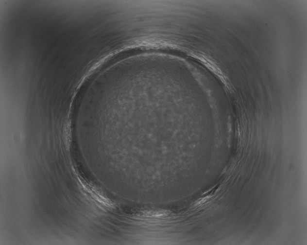 X0000084570488200702231303