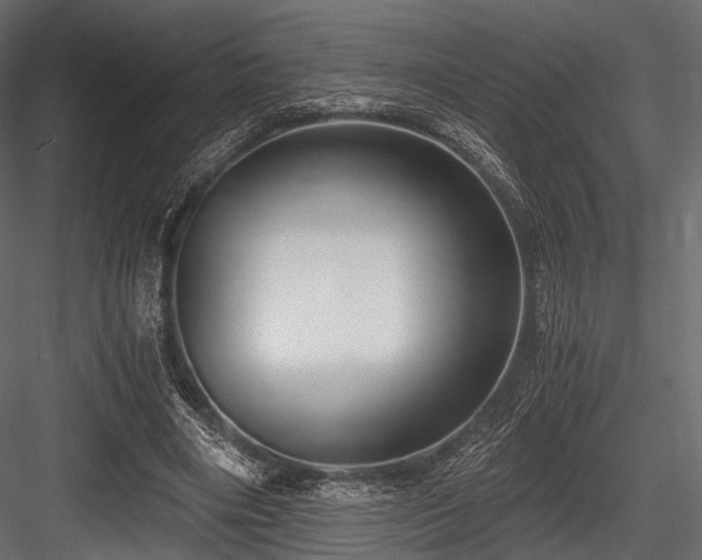 X0000084570490200702231303