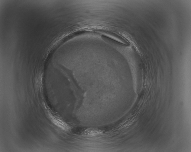 X0000084570491200702231303