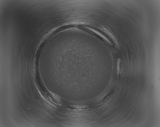 X0000084570492200702231303
