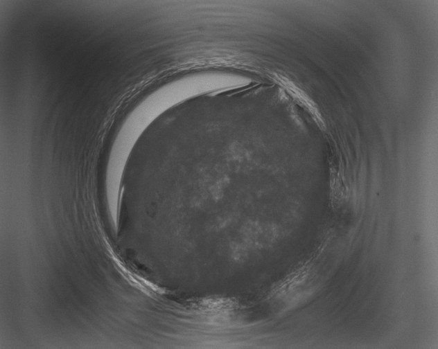 X0000084570493200702231303