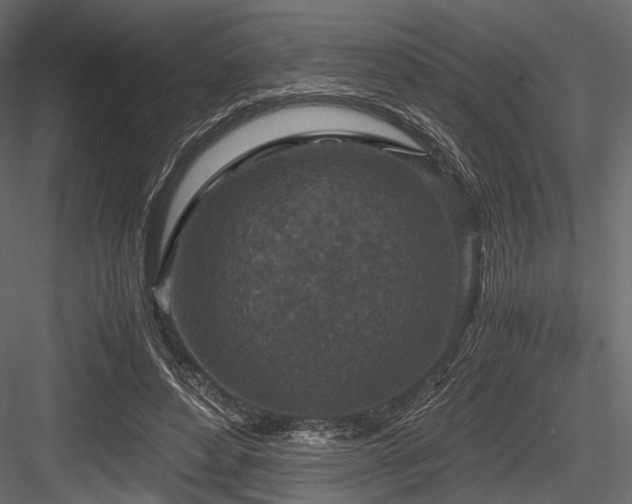 X0000084570496200702231303