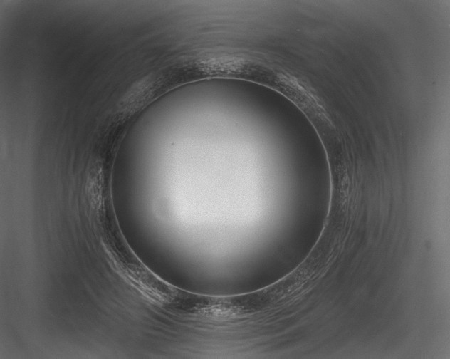 X0000084570498200702231303