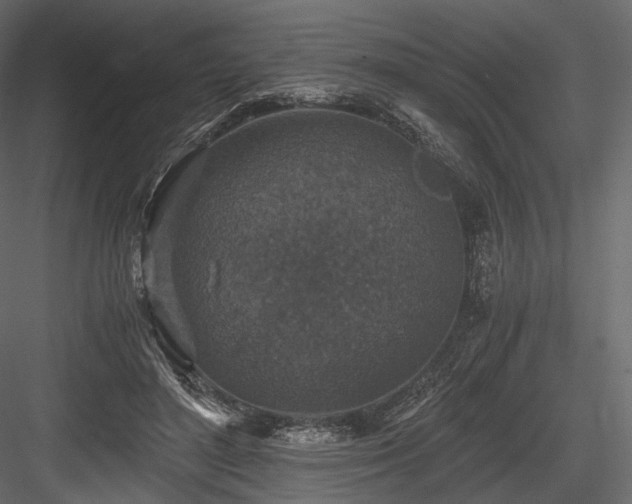 X0000084570500200702231303