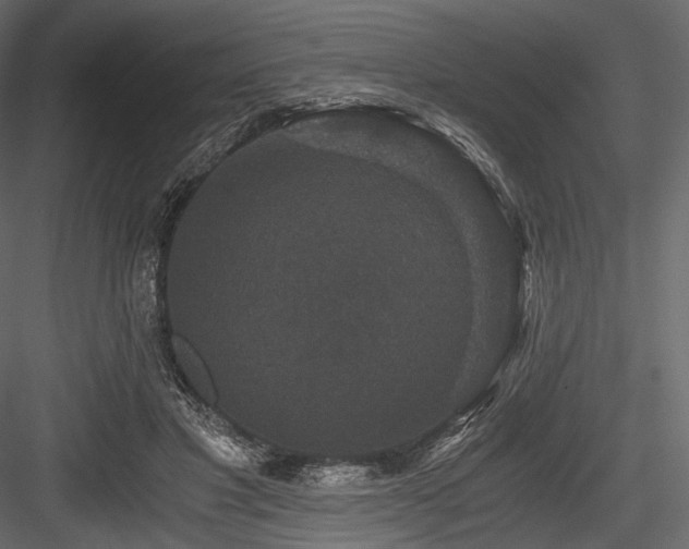 X0000084570501200702231303