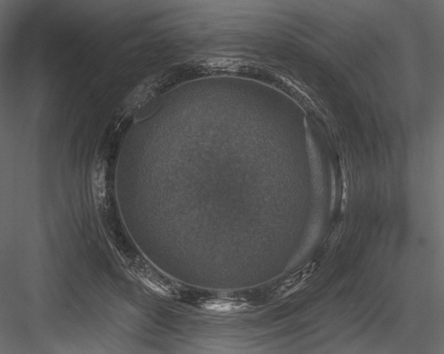 X0000084570504200702231303