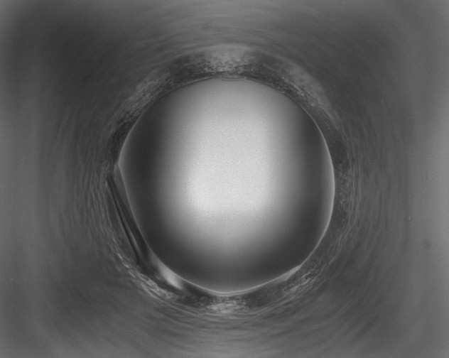 X0000084570505200702231303