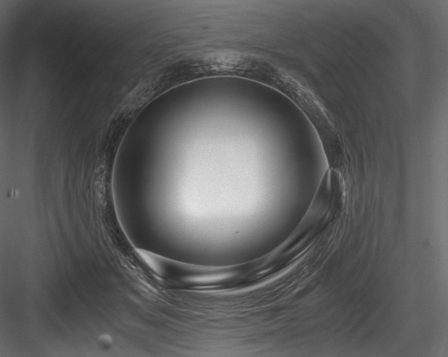 X0000084570509200702231303