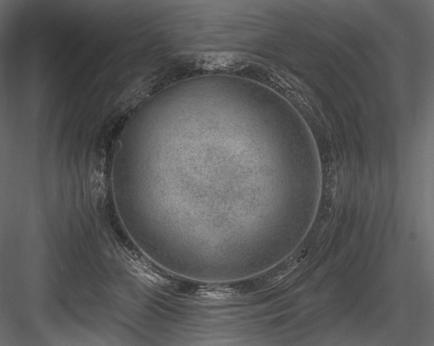X0000084570510200702231303
