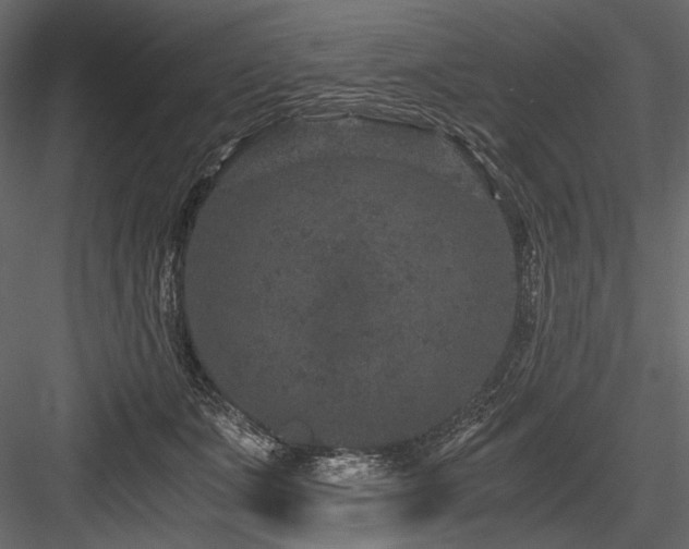 X0000084570511200702231303