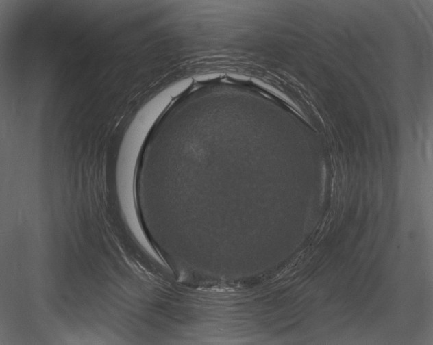 X0000084570512200702231303