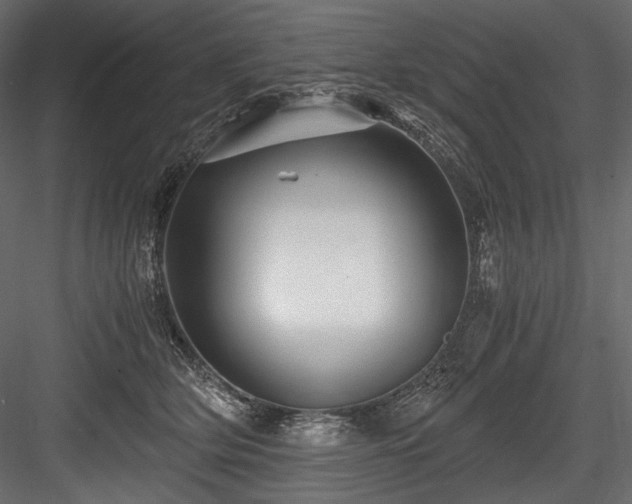 X0000084570514200702231303