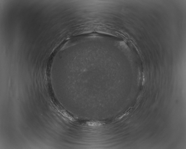 X0000084570520200702231302