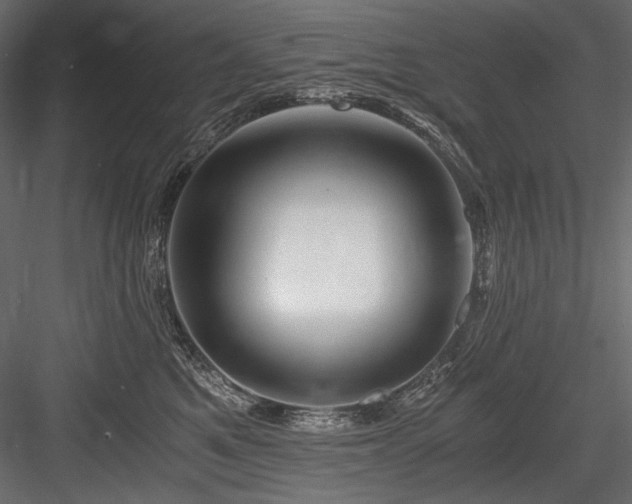 X0000084570521200702231302