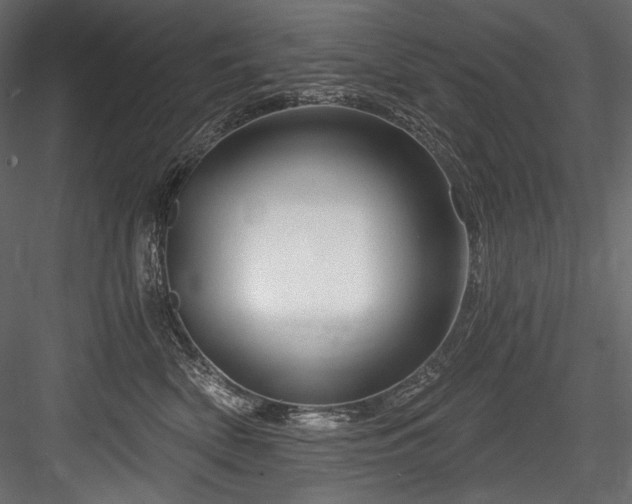 X0000084570522200702231302