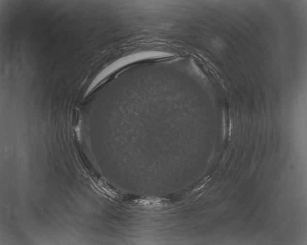 X0000084570524200702231302