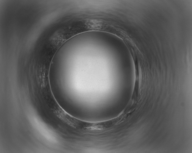X0000084570525200702231302