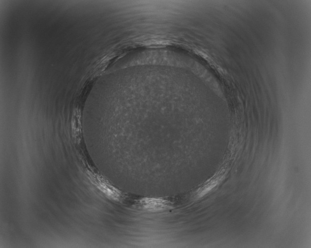 X0000084570528200702231302