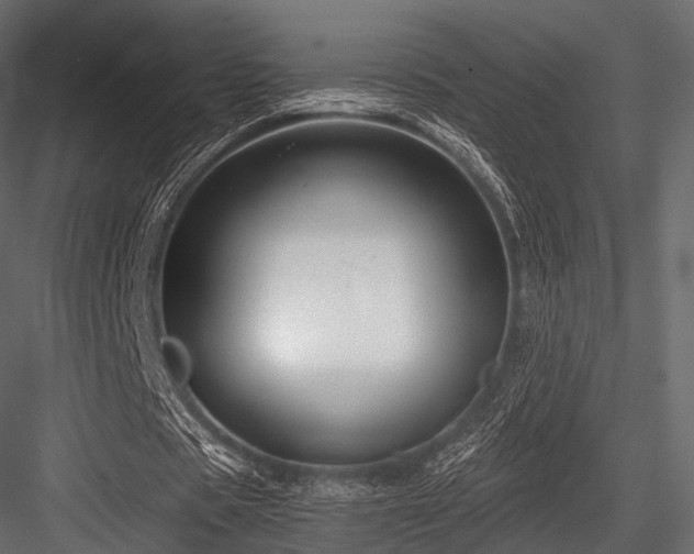 X0000084570529200702231301