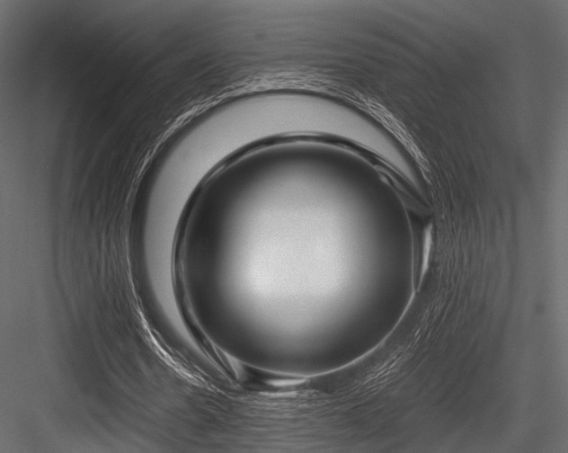 X0000084570530200702231301