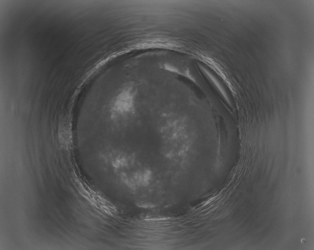 X0000084570531200702231301