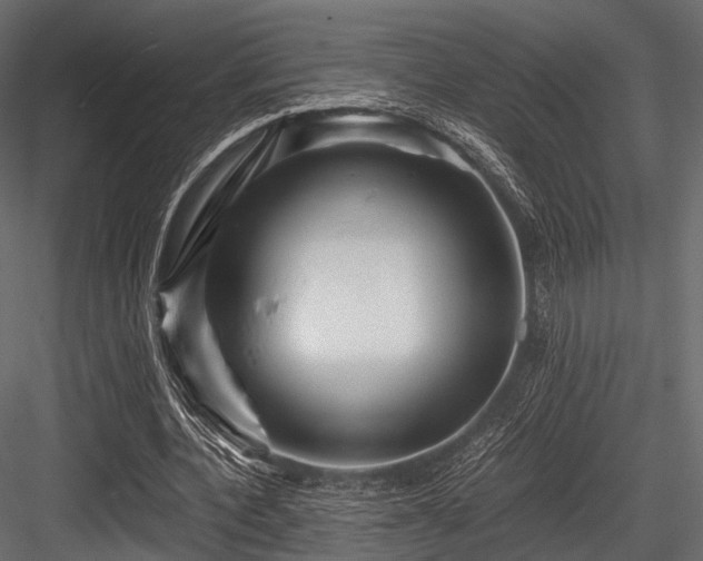 X0000084570532200702231301