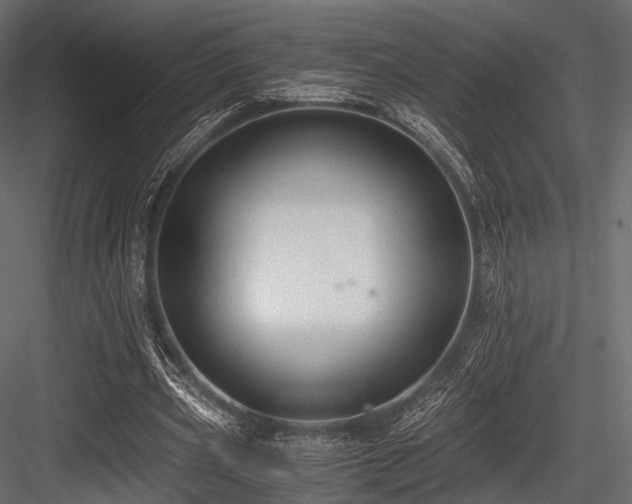 X0000084570533200702231301